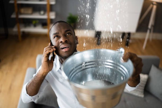 Best Water damage mitigation services  in Allegan, MI