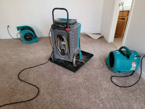  Allegan, MI Water damage restoration Pros