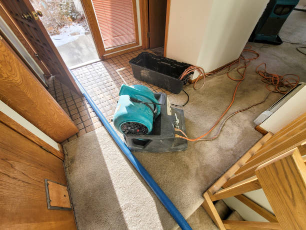 Best Water damage contractors near me  in Allegan, MI