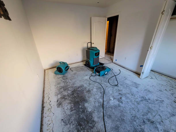 Best Carpet water damage restoration  in Allegan, MI