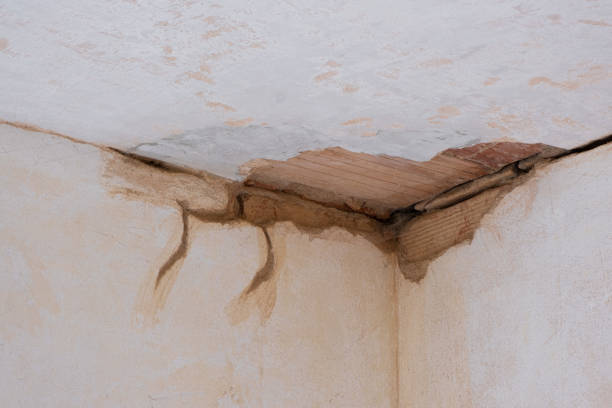 Best Flooded house restoration  in Allegan, MI