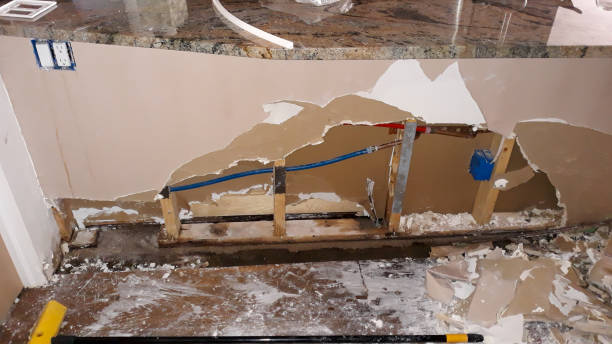 Best Water damage restoration insurance claims  in Allegan, MI