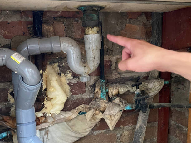 Best Mold removal after water damage  in Allegan, MI